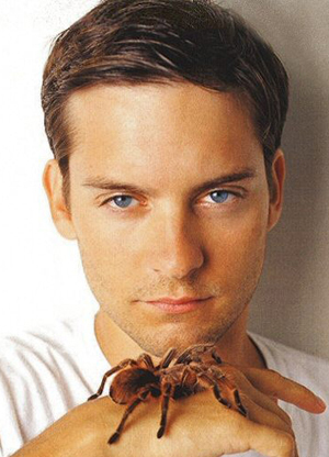 Celebrity Short Hairstyles Tobey Maguire Spiderman
